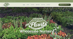 Desktop Screenshot of pisgahplants.com